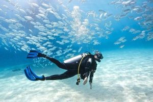 Scuba Diving & Snorkeling Adventure – Red Sea Boat Excursion