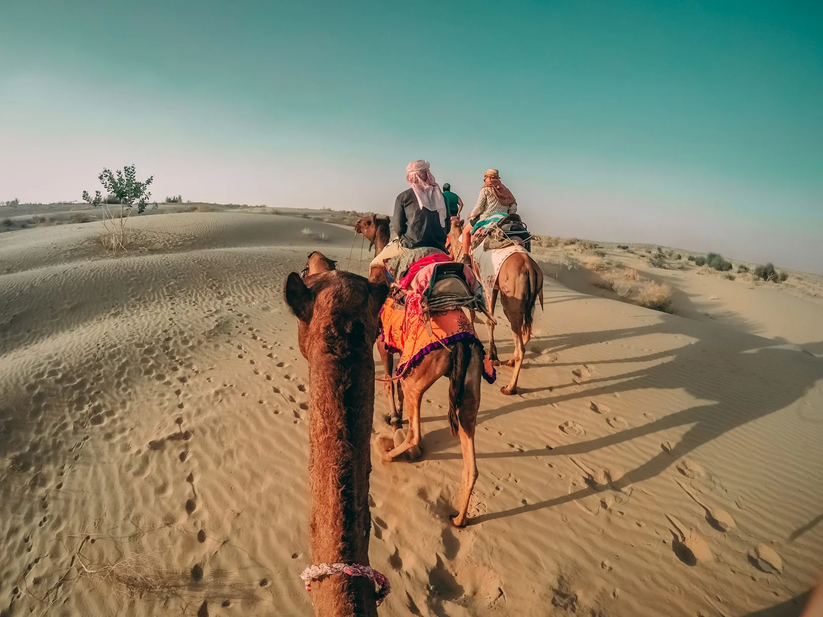 Super Safari Desert Adventure – Culture Camels & Quads